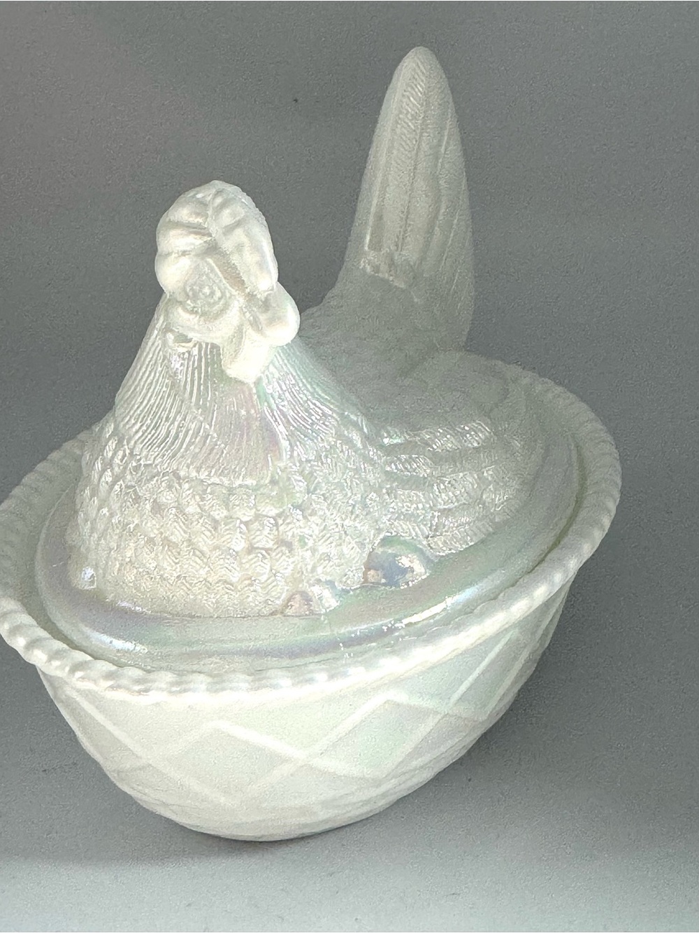 White Carnival Opalescent Hen on Nest